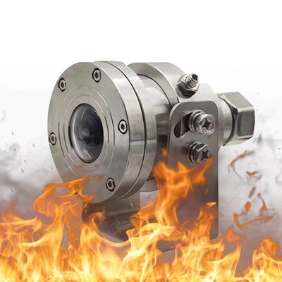 Telecamere di sicurezza per camion in acciaio inossidabile con visione notturna IR a luce stellare fino a 20 metri
